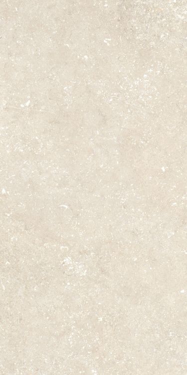 Untamed Wander Warm 12 x 24